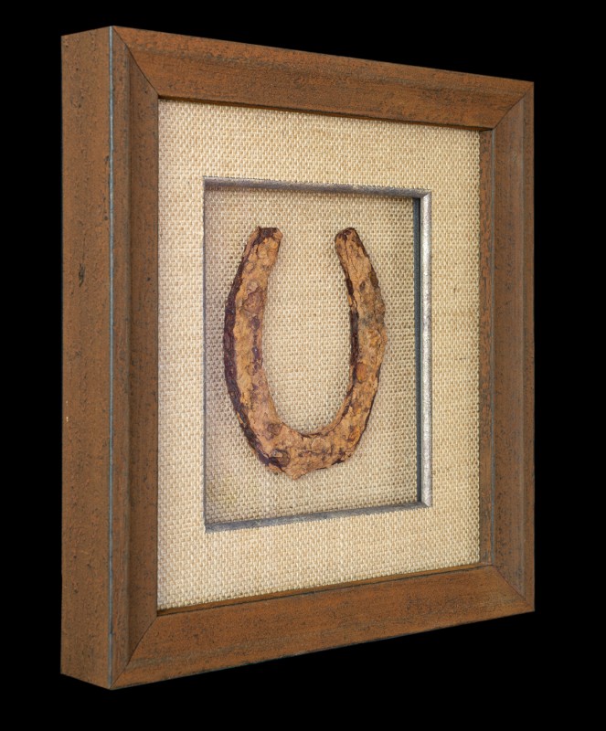 Sideview of horseshoe in picture frame