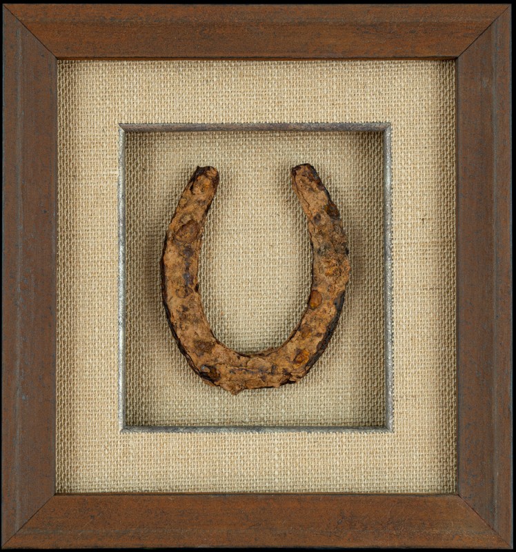 A horseshoe in a shadowbox picture frame. 